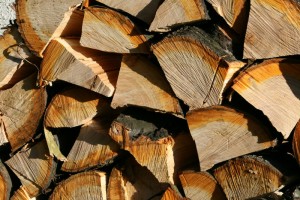 choosing-firewood-image-westhampton-beach-ny-guarantted-chimney-service